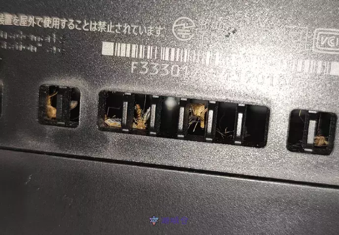 索尼牌“捕蚊器”：玩家PS5成蚊子坟场