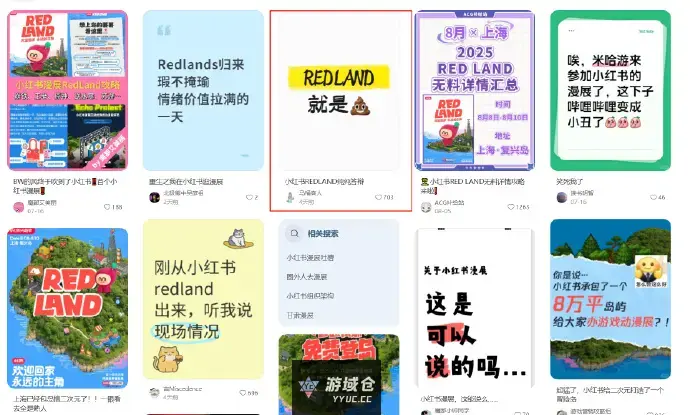 小某书漫展，买家秀与卖家秀