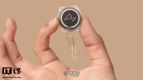 马斯克“人脑芯片”火了！ 1万人排队等待植入